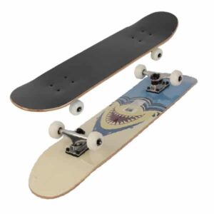 Plan B Skateboards Team Pro Series Deck